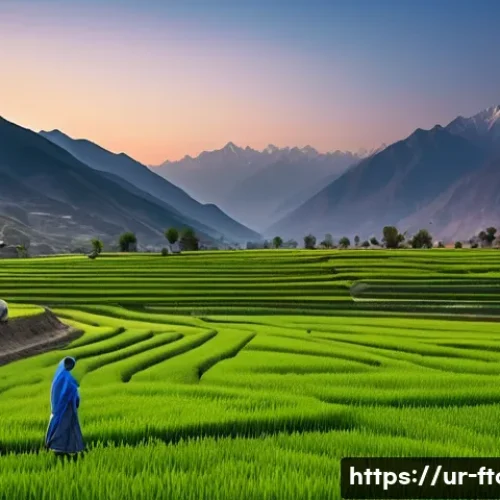 Home 17 농촌관광지도사와 고객 니즈 분석 - **"A picturesque view of rural Pakistan's northern region during the golden hour. Rolling green terr...